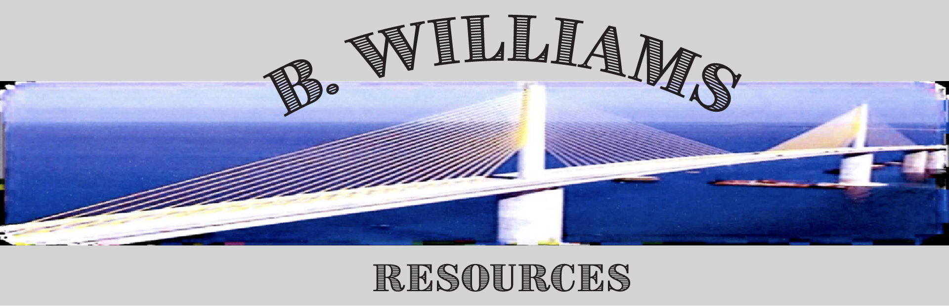 Logo Banner